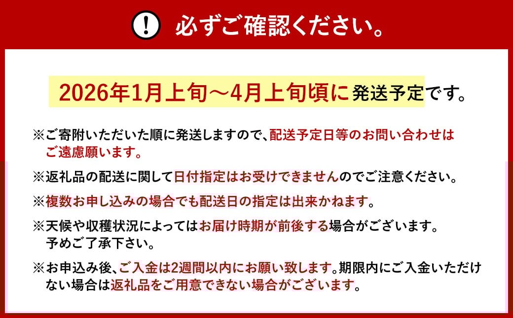 福岡県産 あまおう 約280g×2パック 合計560g 果物 くだもの フルーツ 苺 いちご イチゴ ストロベリー デザート 福岡県 太宰府市【2026年1月上旬〜4月上旬発送予定】
