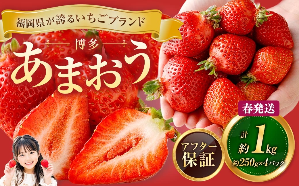 博多 あまおう 4パック（春）【2027年2月上旬～2027年4月下旬発送予定】