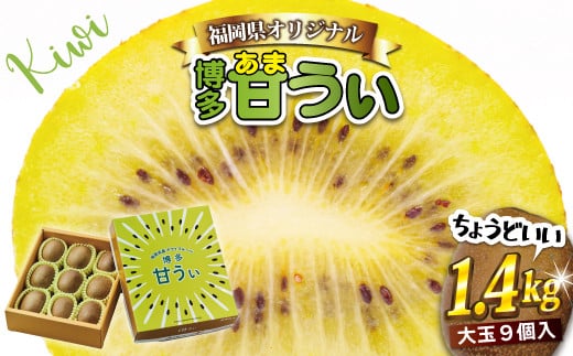 福岡県ブランドキウイフルーツ「 博多甘うぃ 」 化粧箱 大玉 9玉 約1.4kg 【2026年11月上旬～11月下旬発送予定】