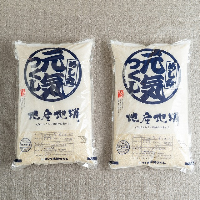 【令和5年産】 福岡の美味しいお米 ・ 元気つくし 5kg×2袋 合計10kg 福岡県産 米 精米 白米 国産