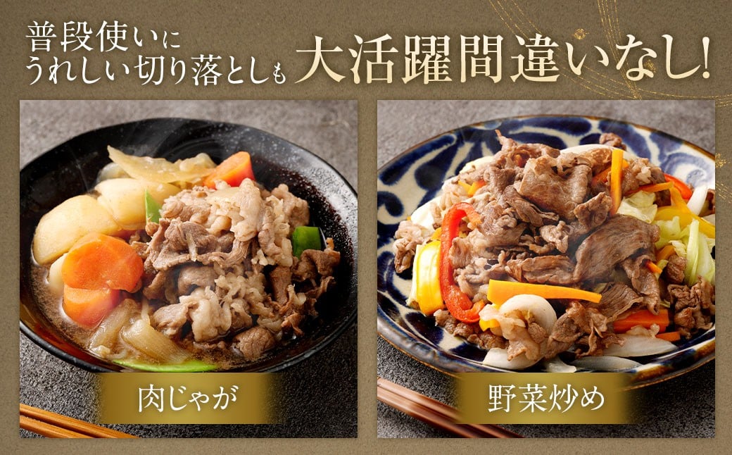 博多和牛 ステーキ （ヒレ） 4枚 （計約600g） ＋ 佐賀牛 切り落とし 400g ／ 黒毛和牛 黒毛和種 和牛 牛肉 お肉 肉 ヒレ肉 セット 国産 九州 福岡県 太宰府市 冷凍