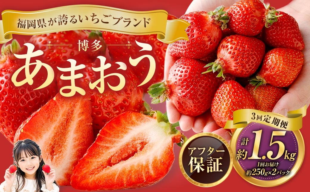 【3回定期便】博多 あまおう 2パック【2027年2月上旬～2027年4月下旬発送予定】