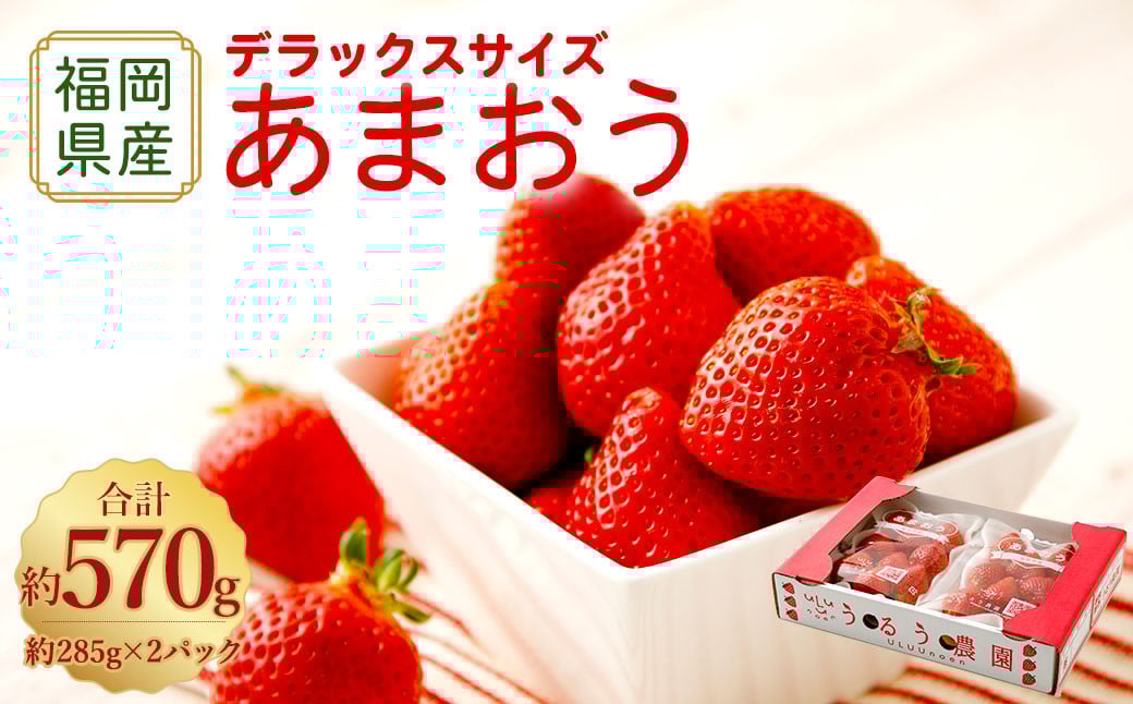 【アフター保証】うるう農園 あまおう DX等級 2パック （約570g）【2026年2月上旬～2026年4月上旬発送予定】 いちご イチゴ 苺 フルーツ 果物