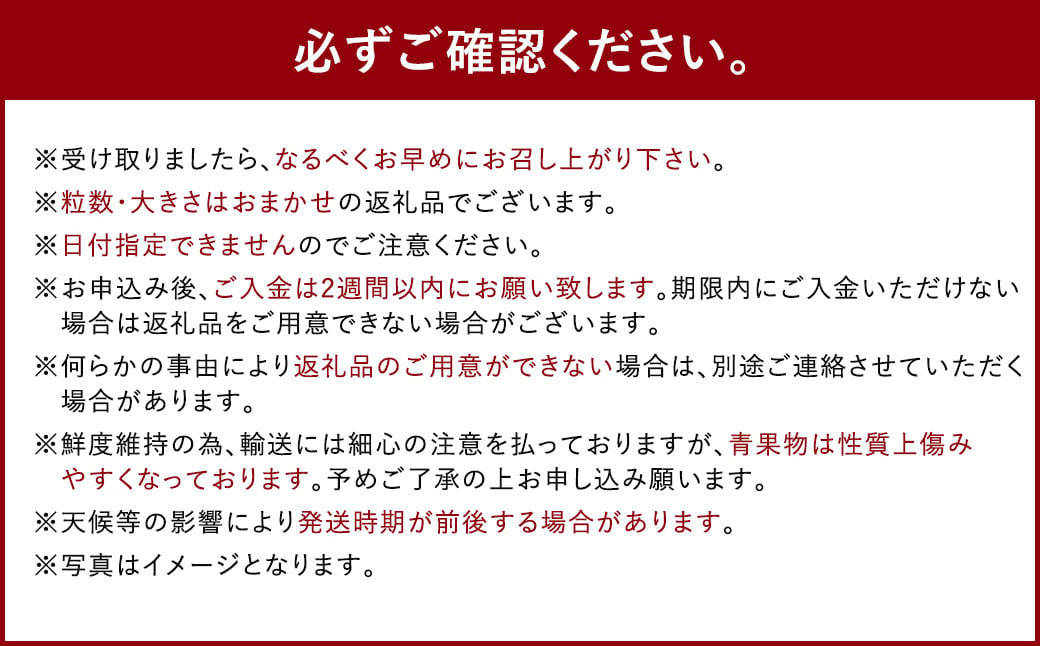 いちごの王様 あまおう 約280g×4パック 約1120g【2024年12月上旬～2025年4月上旬発送予定】 いちご イチゴ 苺 フルーツ