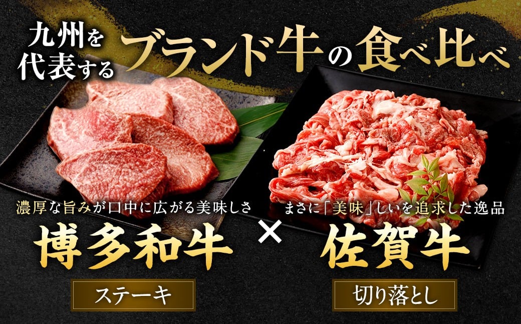 博多和牛 ステーキ （モモ） 5枚 （計約500g） ＋ 佐賀牛 切り落とし 400g ／ 黒毛和牛 黒毛和種 和牛 牛肉 お肉 肉 もも モモ肉 もも肉 霜降り セット 国産 九州 福岡県 太宰府市 冷凍