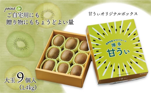 福岡県ブランドキウイフルーツ「 博多甘うぃ 」 化粧箱 大玉 9玉 約1.4kg 【2024年11月上旬～下旬発送予定】