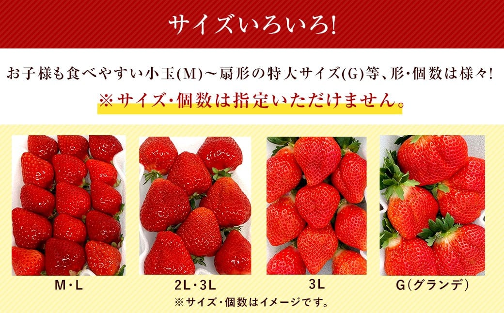 ã3åå®æäŸ¿ã ããã蟲åã®ããŸãã ãµã€ãºè²ã
4ãã㯠ïŒèšçŽ1140gïŒ ã2026幎2æäžæ¬ïœ4æäžæ¬çºéäºå®ã ããŸãã ãã¡ã èº æç© ãã«ãŒã å®æäŸ¿ å·èµ çŠå²¡ç 倪宰åº