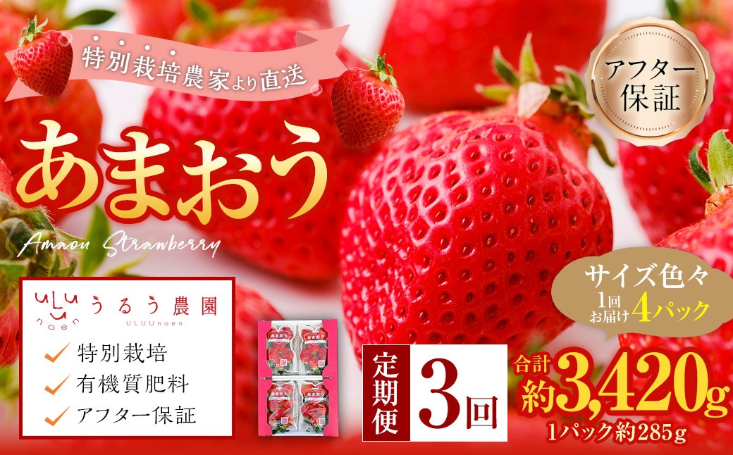 【3回定期便】 うるう農園のあまおう サイズ色々4パック （計約1140g） 【2027年2月上旬～4月下旬発送予定】 あまおう いちご 苺 果物 フルーツ 定期便 冷蔵 福岡県 太宰府