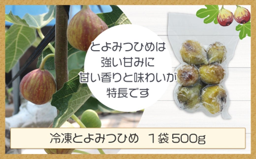 【訳あり】 冷凍いちじく 「とよみつひめ」 1kg （500g×2袋） ／  いちじく イチジク 果物 果実 フルーツ 冷凍フルーツ 冷凍