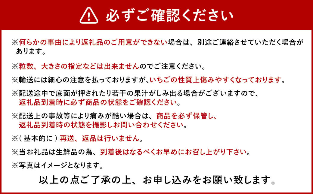 今季初採れあまおう 2パック【数量限定】【2024年12月上旬～2025年1月下旬発送予定】あまおう いちご イチゴ 苺 フルーツ 果物