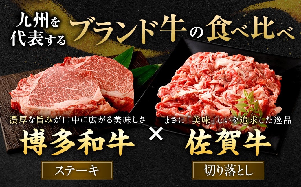 博多和牛 ステーキ （ヒレ） 6枚 （計約900g） ＋ 佐賀牛 切り落とし 400g ／ 黒毛和牛 黒毛和種 和牛 牛肉 お肉 肉 ヒレ肉 セット 国産 九州 福岡県 太宰府市 冷凍