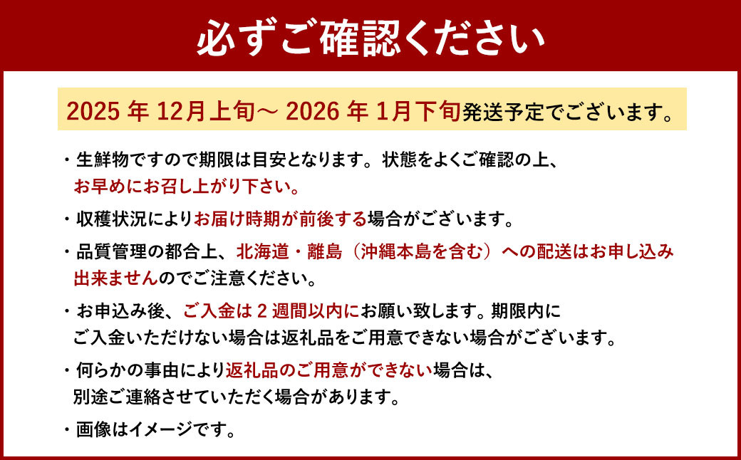 博多 あまおう 6パック（冬）【2025年12月上旬～2026年1月下旬発送予定】