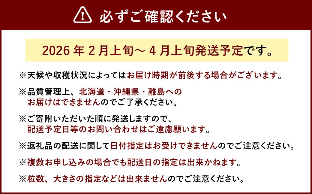 大粒あまおう 約250～270g × 2パック （計500～540g） 【2026年2月上旬～4月上旬発送予定】 あまおう 苺 いちご イチゴ くだもの 果物 フルーツ 国産 福岡県産 福岡県 太宰府市 冷蔵