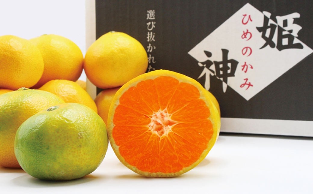 福岡県ブランドみかん「早味かん」3kg みかん ミカン 蜜柑 果物 くだもの フルーツ 福岡県産 【2026年9月下旬-10月下旬発送予定】