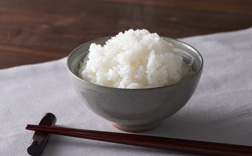 【令和7年産】福岡県産 【特A】評価のお米「元気つくし」5kg×2袋（10kg）白米 精米 お米 米