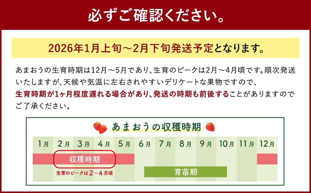 【1月～2月発送】いちごの王様 あまおう 約280g×4パック 約1120g【2026年1月上旬～2026年2月下旬発送予定】 いちご イチゴ 苺 フルーツ