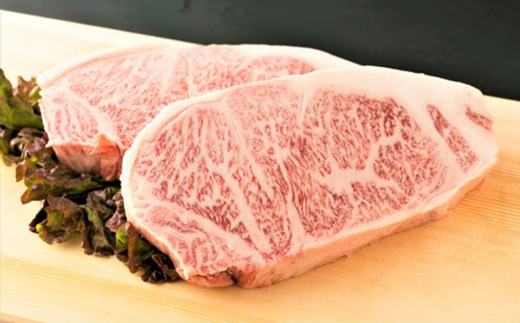 【お肉定期便】大容量！博多和牛サーロインステーキ5回定期便（1kg×5回）計5kg[F0099T5]