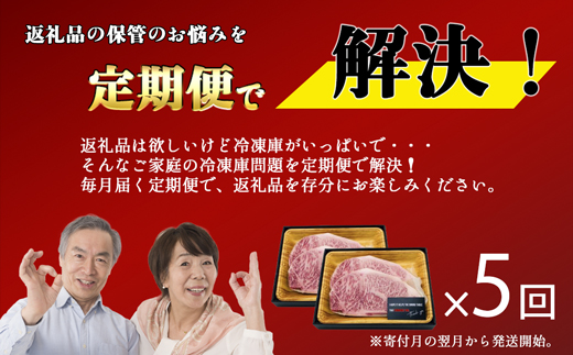 【お肉定期便】大容量！博多和牛サーロインステーキ5回定期便（1kg×5回）計5kg[F0099T5]