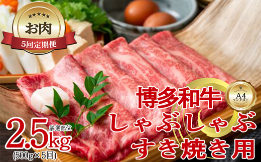 【お肉定期便】【厳選部位】【しゃぶしゃぶすき焼き用】博多和牛サーロイン5回定期便（500g×5回）計2.5kg[F0100T5]