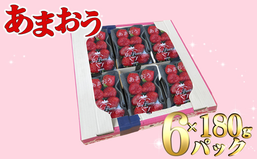 【2025年1月より順次発送】福津産あまおう約180g×6パック[F0150]