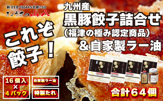 これぞ餃子!!九州産黒豚餃子詰合せ(福津の極み認定商品)＆自家製ラー油[F4383]