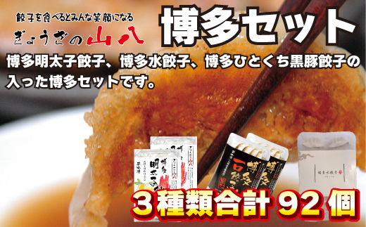 山八餃子博多セット（博多明太子餃子・博多一口黒豚餃子・博多水餃子）[F4385]