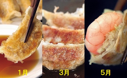 ぎょうざの山八★餃子定期便（年6回奇数月）【随時開始】[F7003]