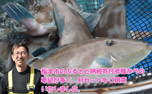 【肝醤油】お刺身のつけだれに！濃厚なウマヅラハギの肝醤油（肝10g×6P）★魚屋おすすめの特製たれに溶かして！[G0156]