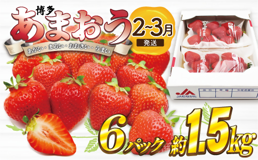 【2026年2月より順次発送】博多あまおう特別6パック　約1.5kg[G2245]