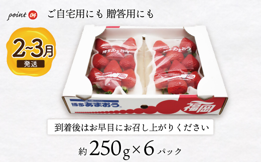 【2027年2月より順次発送】博多あまおう特別6パック 約1.5kg[H2245]