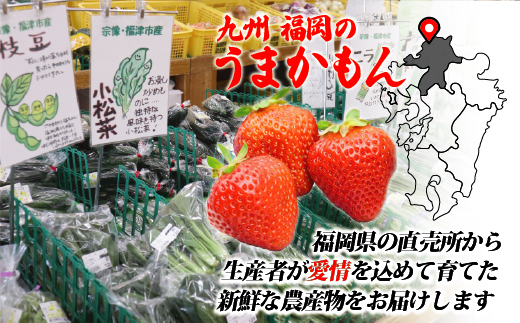 JAむなかた農産物直売所よりお届け！福津・むなかた旬の野菜と果物　計8品[G2275]