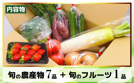 JAむなかた農産物直売所よりお届け！福津・むなかた旬の野菜と果物　計8品[G2275]