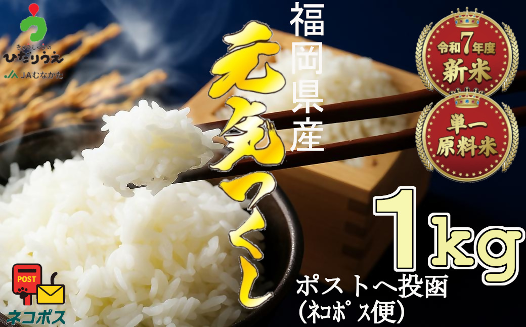 【令和7年産米】JAよりお届け！福岡県ブランド米「元気つくし」 1kg[G2305]