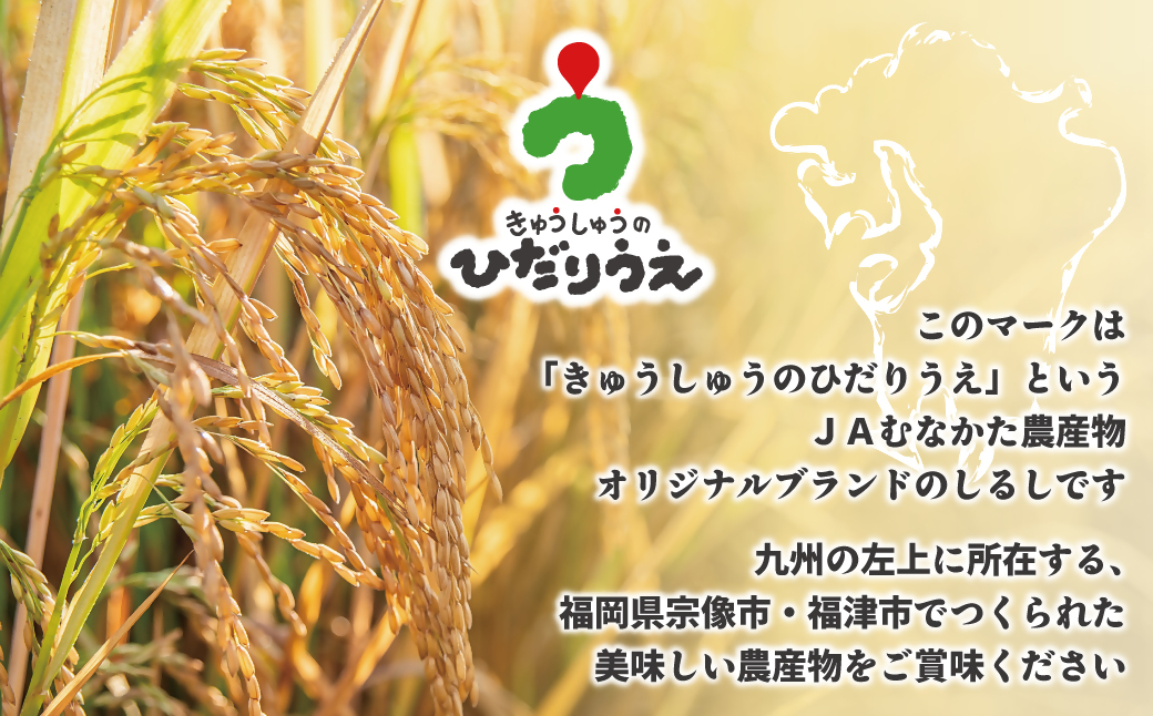 【令和7年産米】JAよりお届け！福岡県ブランド米「元気つくし」 1kg[G2305]