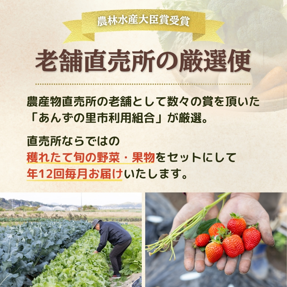 【年12回毎月】穫れたて!旬の野菜・果物定期便★あんずの里【随時開始】[G7010]