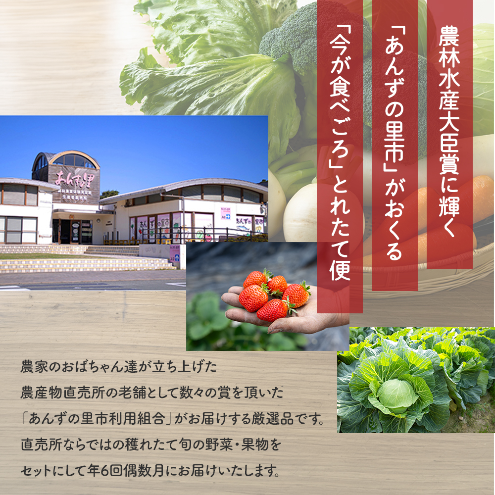 【年6回偶数月】穫れたて!旬の野菜・果物定期便★あんずの里【随時開始】[G7011]