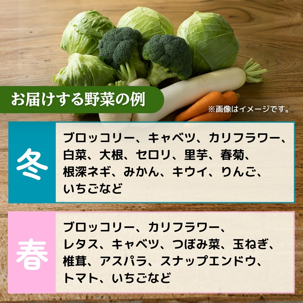 【年6回偶数月】穫れたて!旬の野菜・果物定期便★あんずの里【随時開始】[G7011]