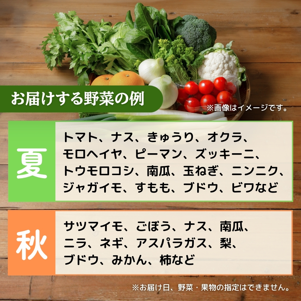 【年6回偶数月】穫れたて!旬の野菜・果物定期便★あんずの里【随時開始】[G7011]