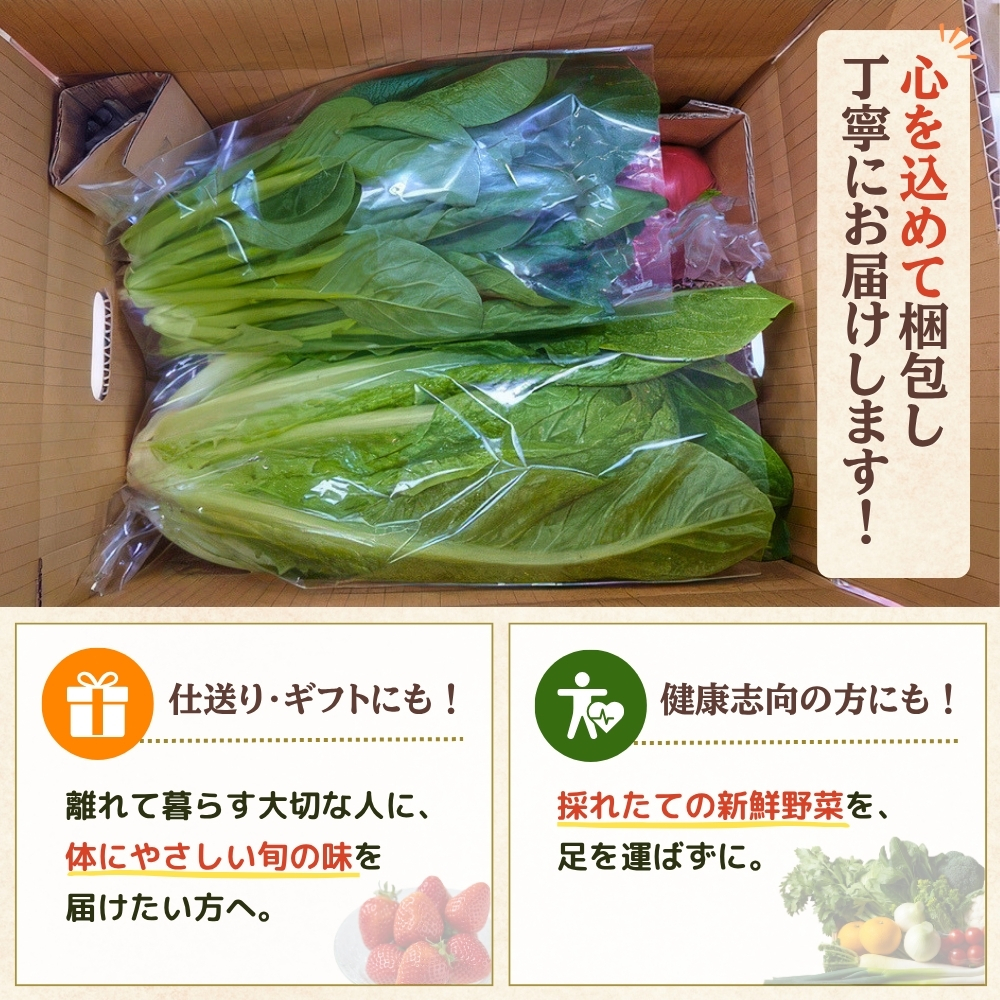 【年6回偶数月】穫れたて!旬の野菜・果物定期便★あんずの里【随時開始】[G7011]