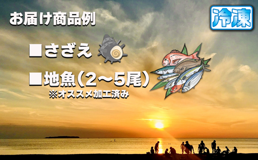 【年12回毎月】お魚よかろうもん！玄界灘・福津の地魚お楽しみ定期便【冷凍】【随時開始】[G7014]