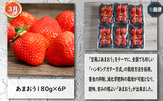 【4回届く！コースC】福岡ご当地定期便★福岡の人気商品を4回お届け！[G7050]