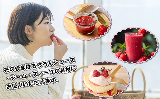 【4回届く！（2月～5月）】福津産『空飛ぶあまおう』約1,080g×4回定期便【スカイフローラファーム】[H7052]