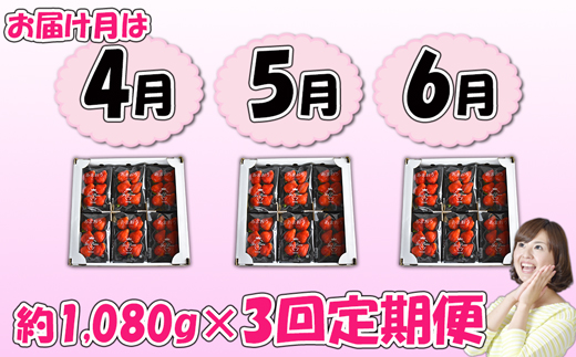 【3回届く！（4月～6月）】福津産『空飛ぶあまおう』約1,080g×3回定期便【スカイフローラファーム】[H7056]
