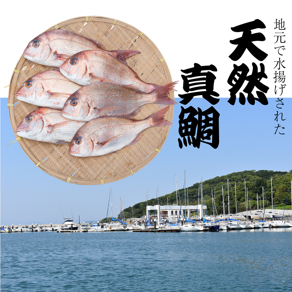瞬間冷凍で生食感！！福津の贅沢鯛茶漬け(70g×10パック）だしパック付き[H0178]