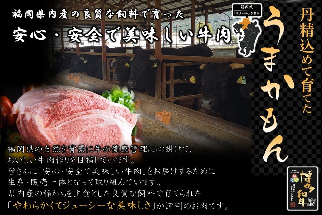 博多和牛 肩ロース焼肉用・スライス800g（各400g【JA全農ミートフーズ】）[H0192]