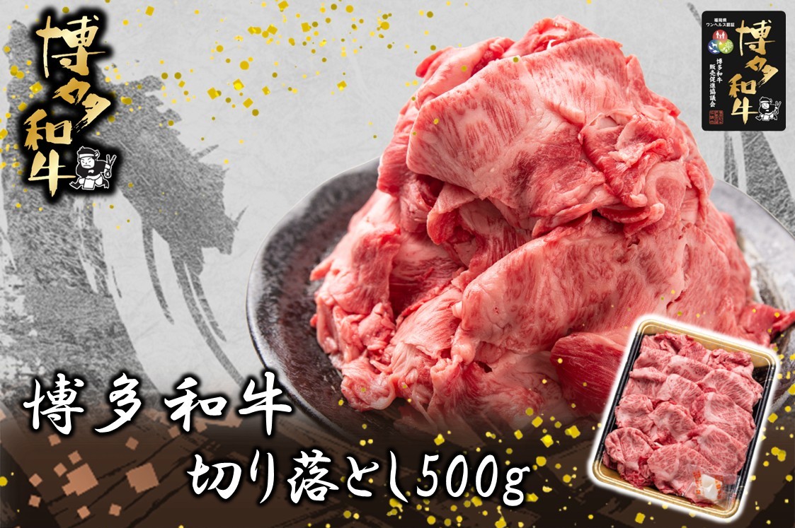 博多和牛 切り落とし500g【JA全農ミートフーズ】[H0193]