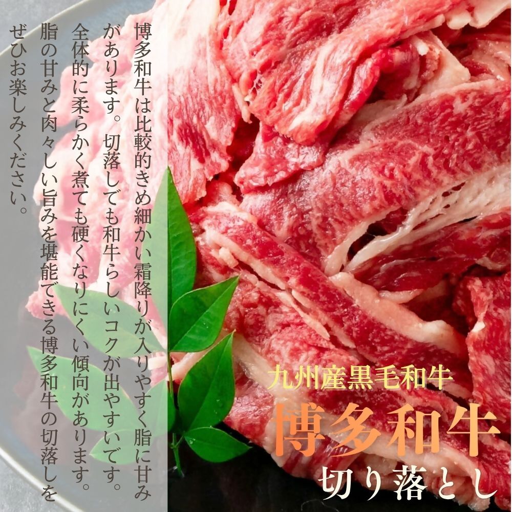 A4ランク博多和牛 切り落とし800g(400g×2P)[H0202]