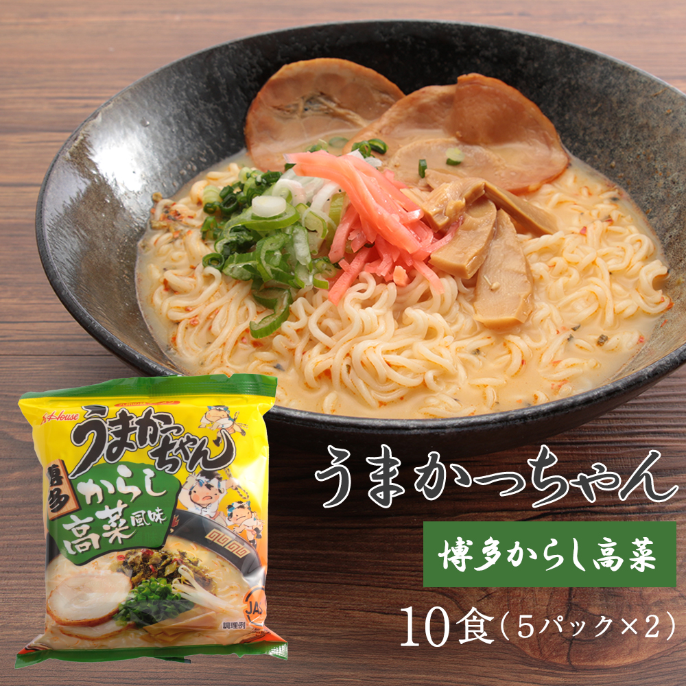 豚骨ラーメン うまかっちゃん 博多辛子高菜 10食(5パック×2)[H0234]