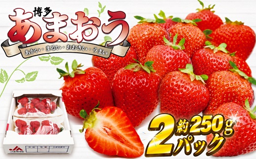 【2027年2月より順次発送】博多あまおう2パック 約500g[H2242]