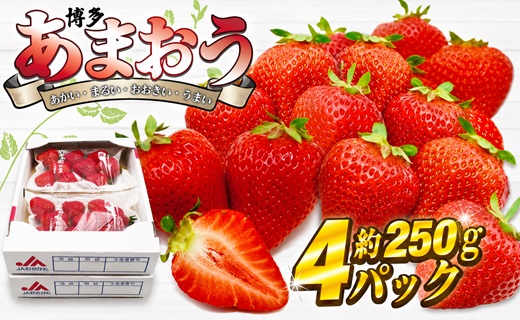 【2027年1月3日・4日・5日発送】博多あまおう 約250g×4P[H2262]
